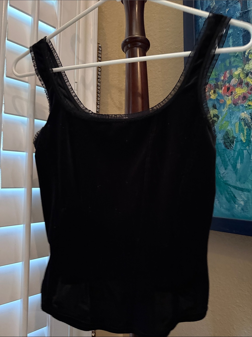 Arianne Black Velvet Scoop Neck Camisole Tank